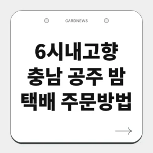충남 공주 밤
