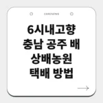 충남 공주 배