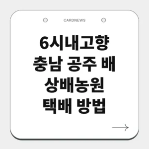 충남 공주 배