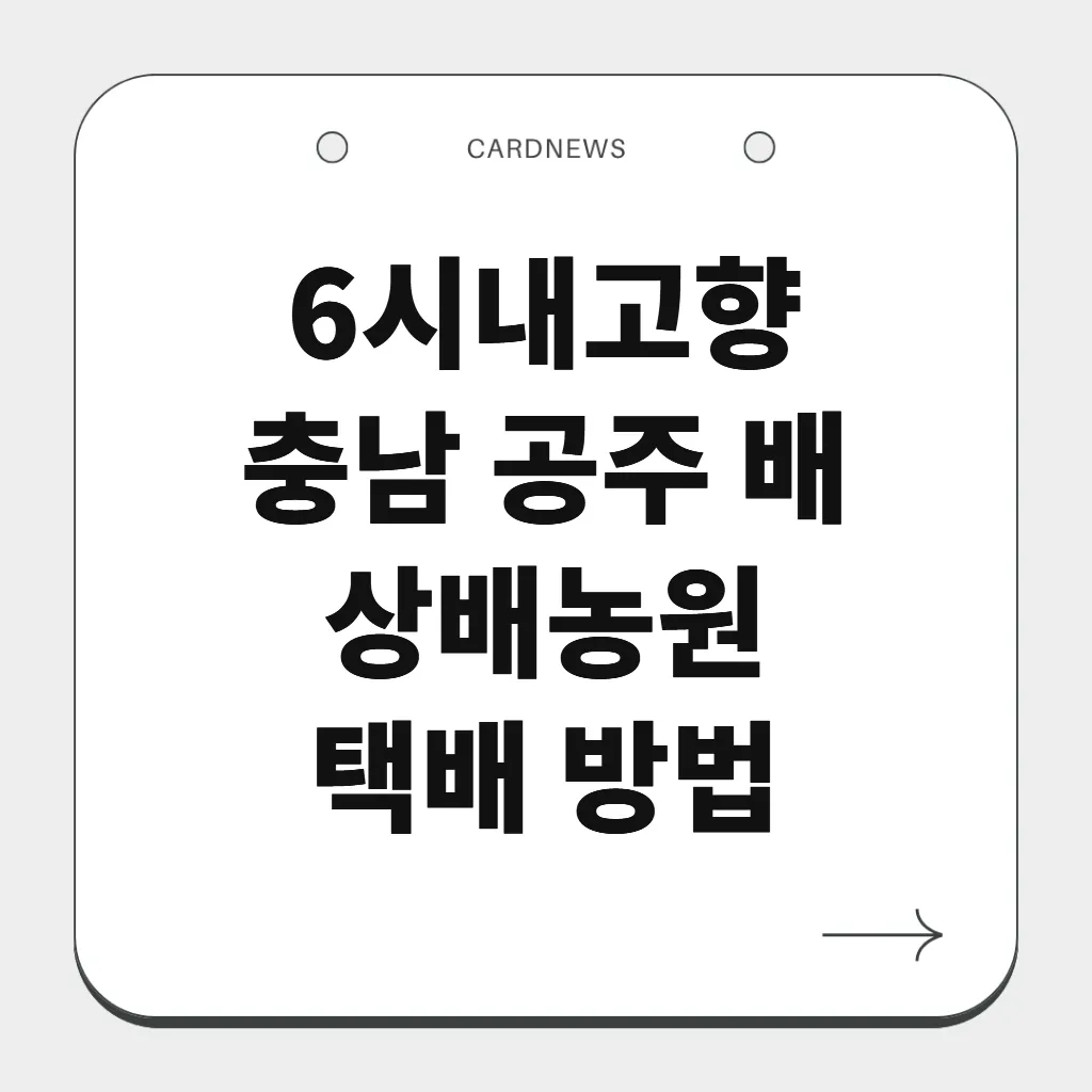충남 공주 배