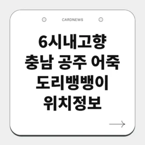 충남 공주 어죽 도리뱅뱅이