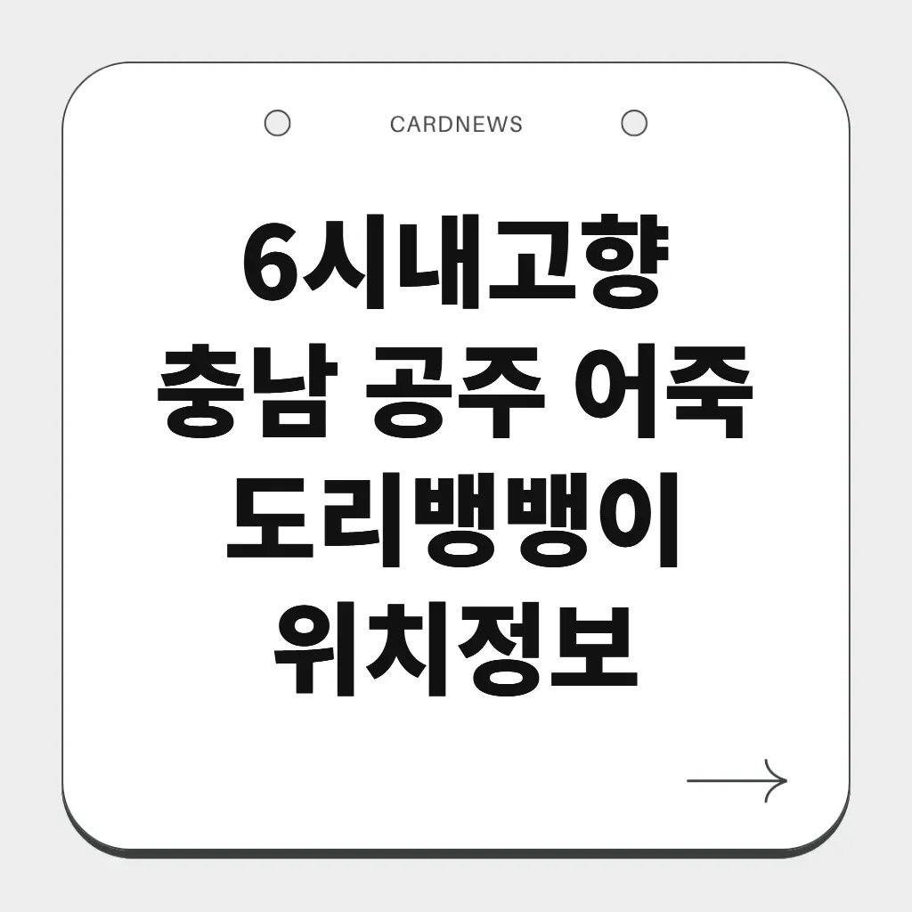 충남 공주 어죽 도리뱅뱅이