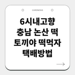 충남 논산 떡