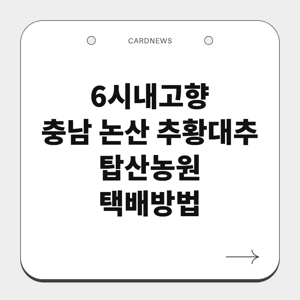 충남 논산 추황대추