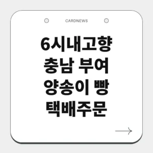 충남 부여 양송이 빵