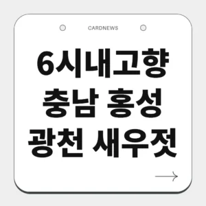 충남 홍성 광천 새우젓