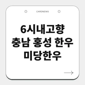충남 홍성 한우